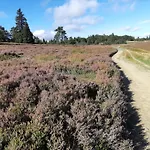 Naturrefugium Bei Willingen * 메데바흐