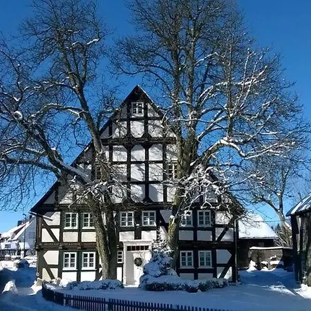 In Wissinghausen With Private Sauna Holiday home