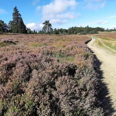 Naturrefugium Bei Willingen * מדבאך