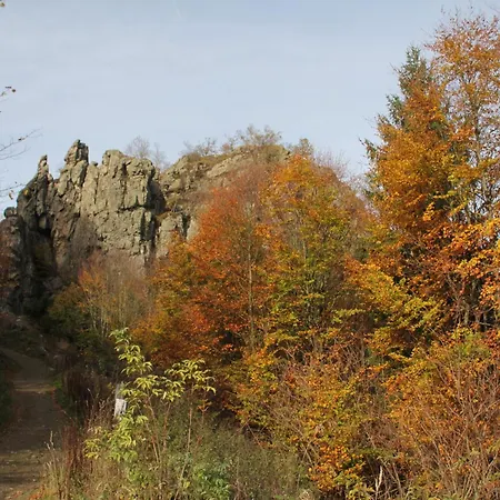 Naturrefugium Bei Willingen Casa de Férias