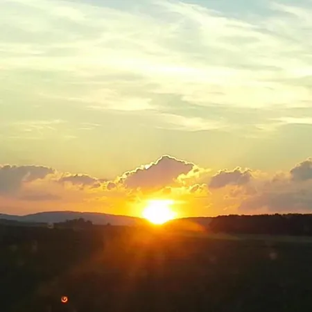 Naturrefugium Bei Willingen Medebach