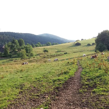 Σπίτι διακοπών Naturrefugium Bei Willingen