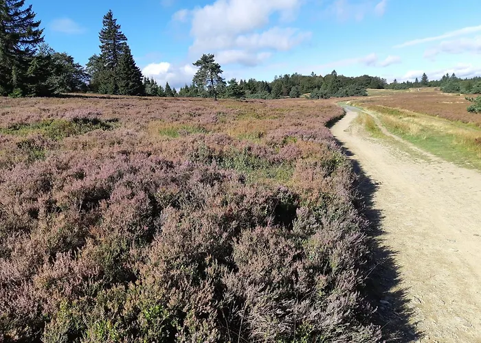 Naturrefugium Bei Willingen * Медебах