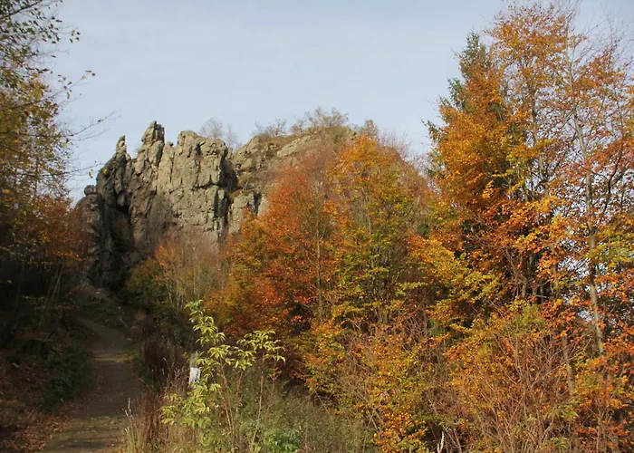 Naturrefugium Bei Willingen Hébergement de vacances
