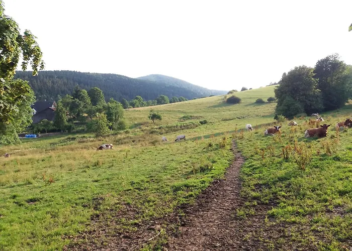 Vakantiehuis Naturrefugium Bei Willingen